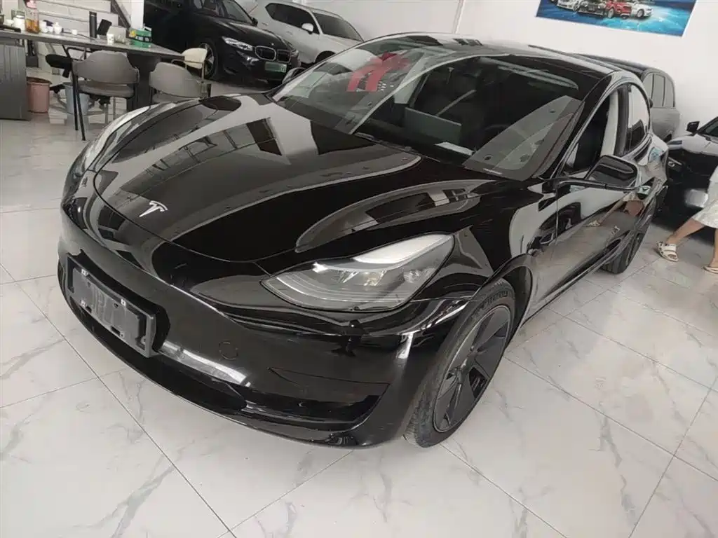 Tesla Model 3 2022 Model Rear-Wheel Drive Version