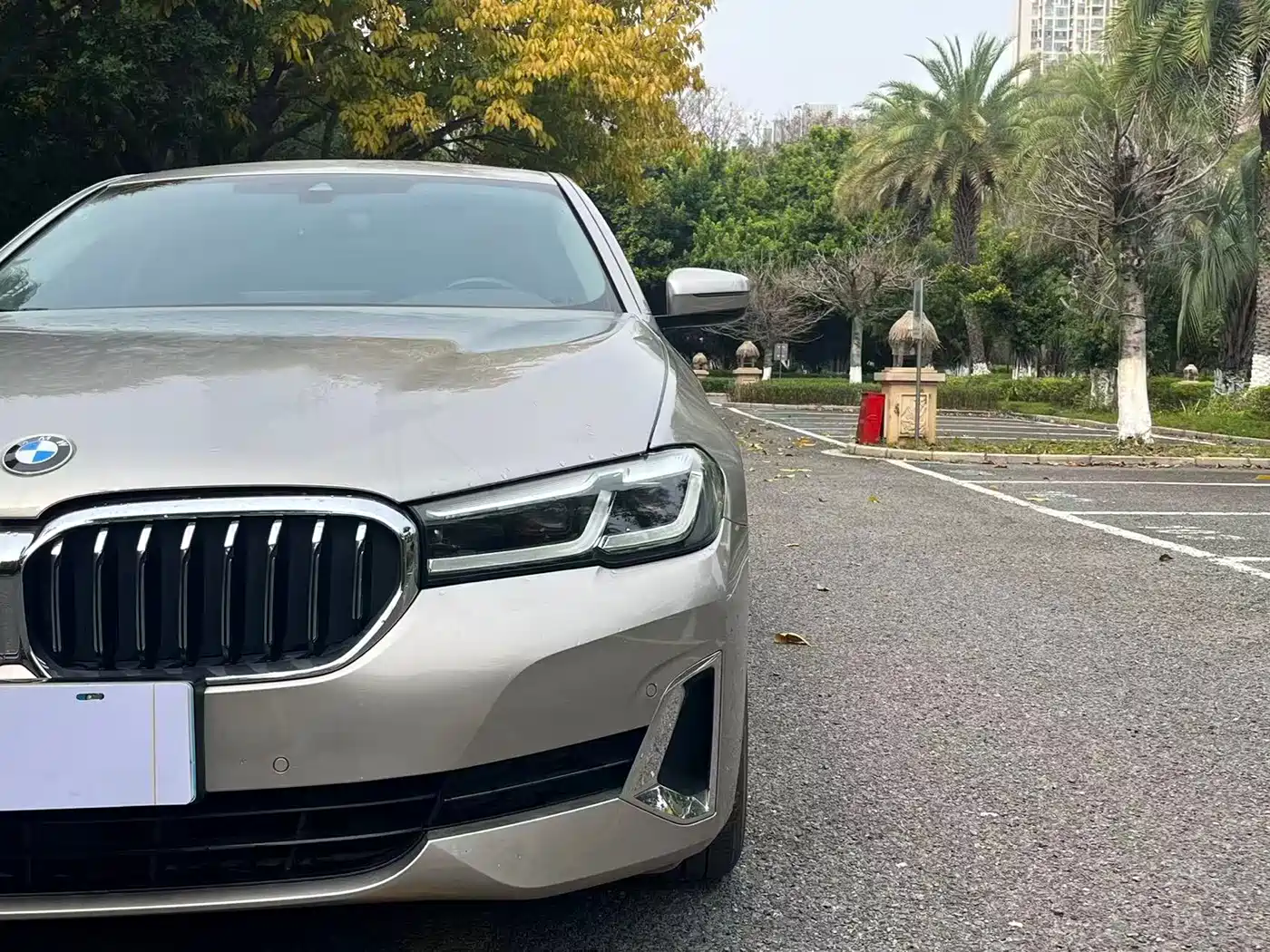 BMW 5 Series 2021 530Li Leading Luxury Package фото 13