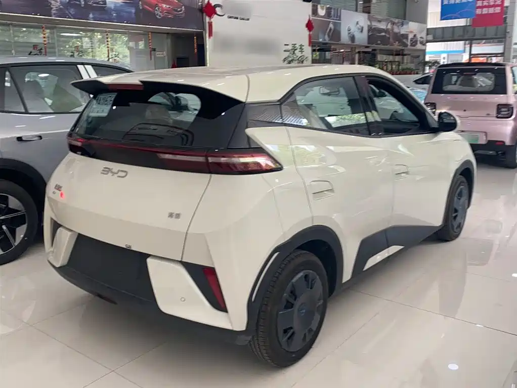 BYD Seagull 2026 2025 Smart Drive Edition 305km Vitality Version