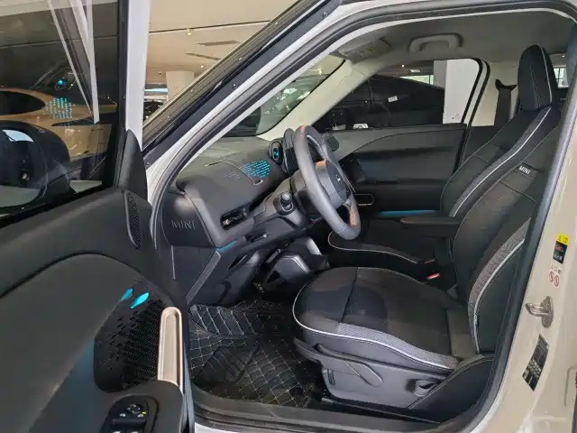 2025 MINI Electric MINI ACEMAN