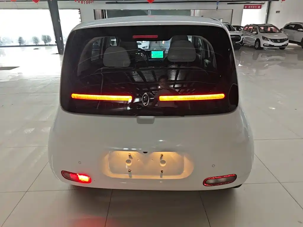 Ora White Cat 2021 2020 305km Luxury