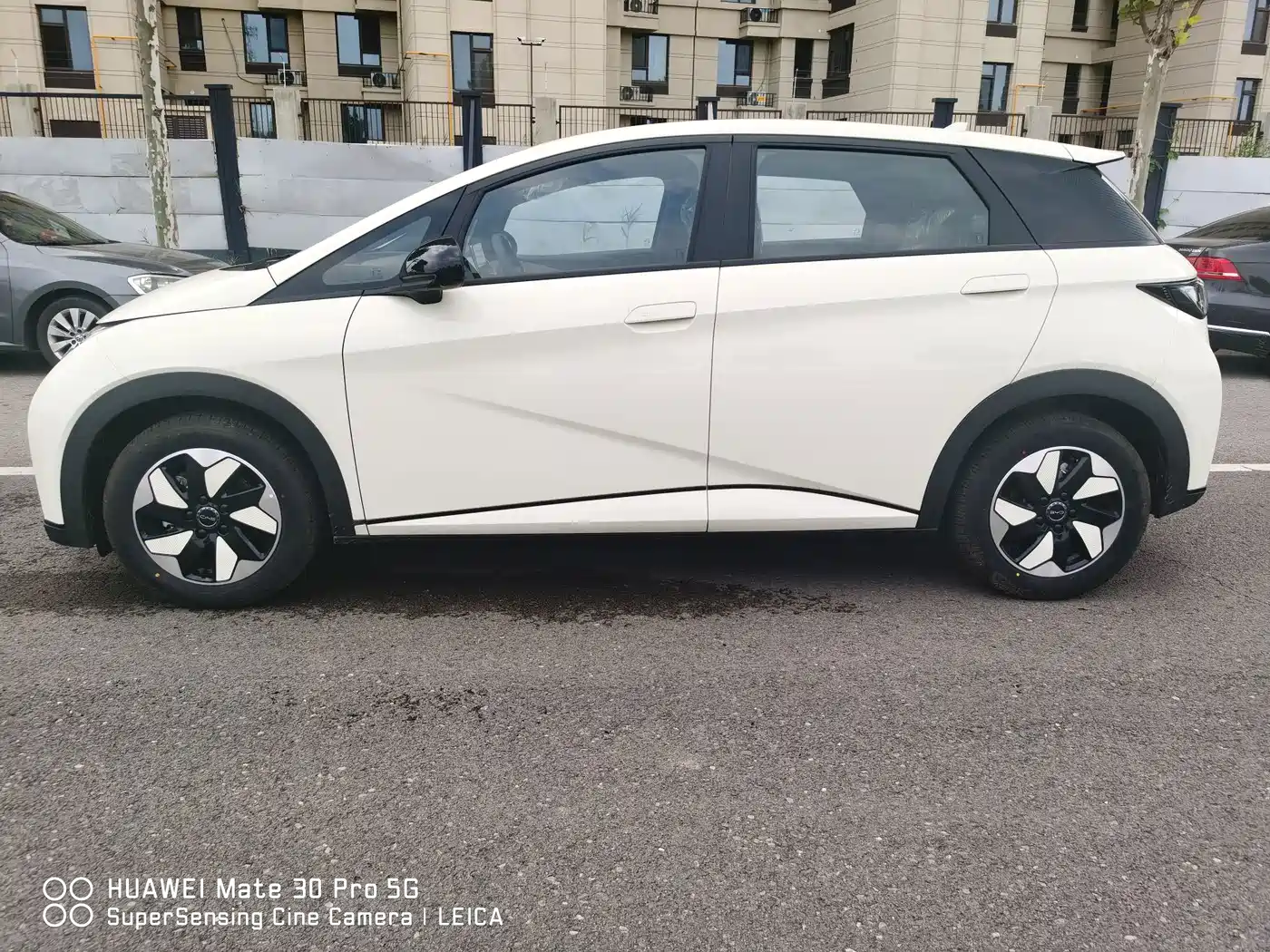 BYD Dolphin 2026 2025 420km Freedom Edition