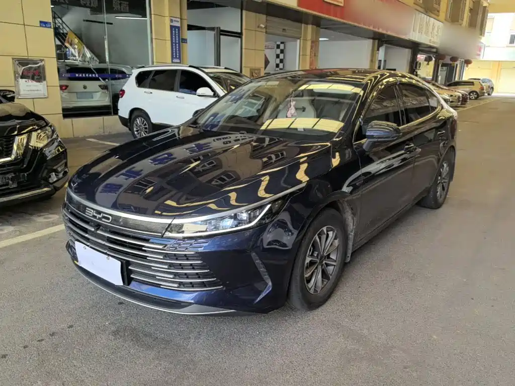 BYD Destroyer 05 2024