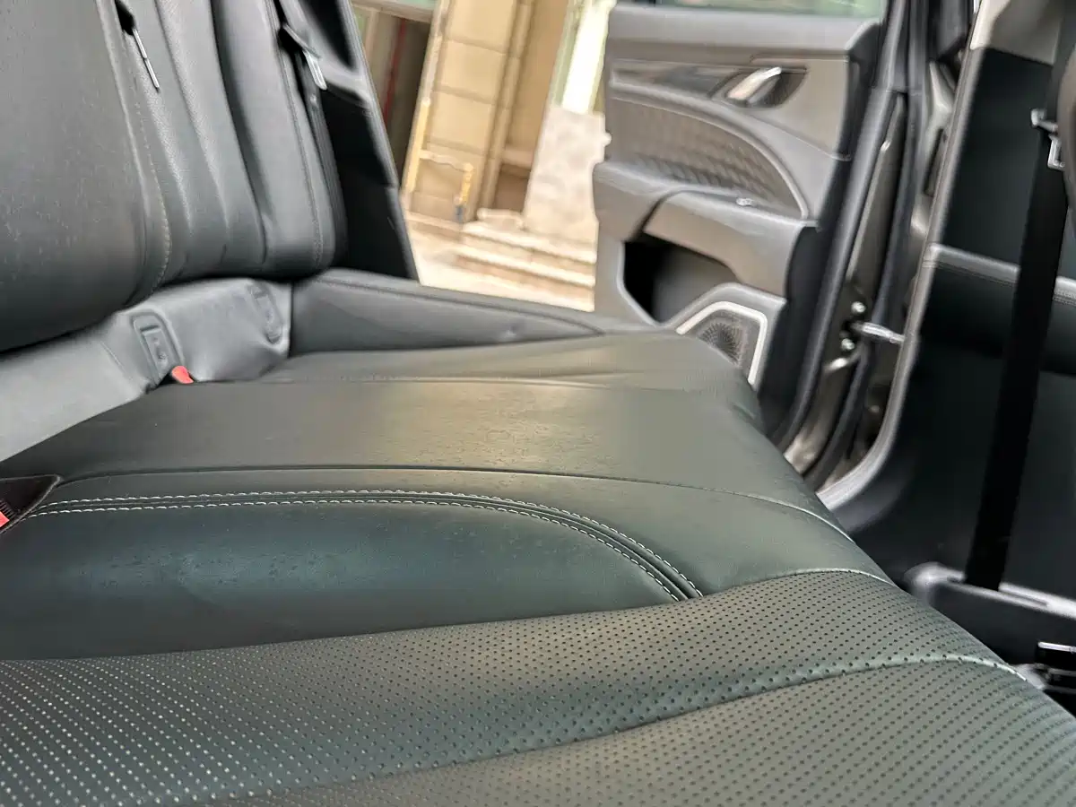 Geely Borui 2021 2021 1.8T Pilot Edition+