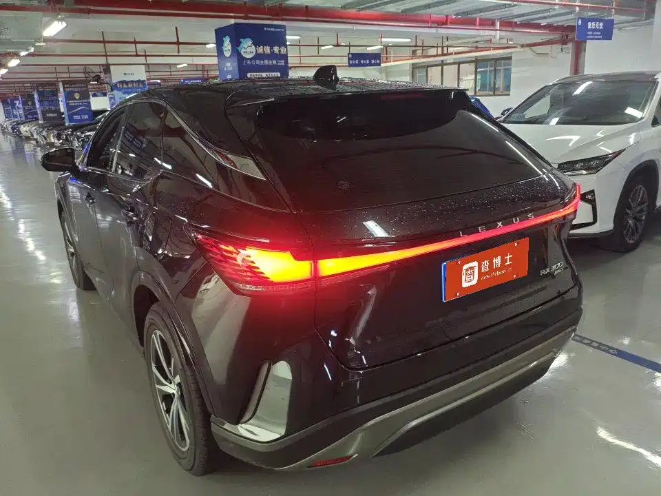 2025 Lexus RX