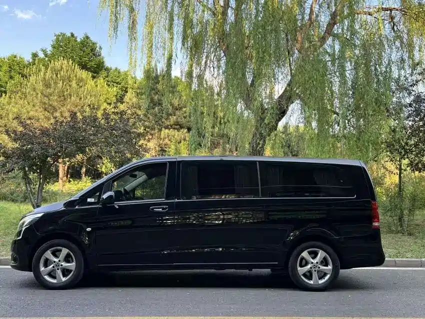 Mercedes-Benz Vito 2018 2.0T Business Edition China VI фото 2