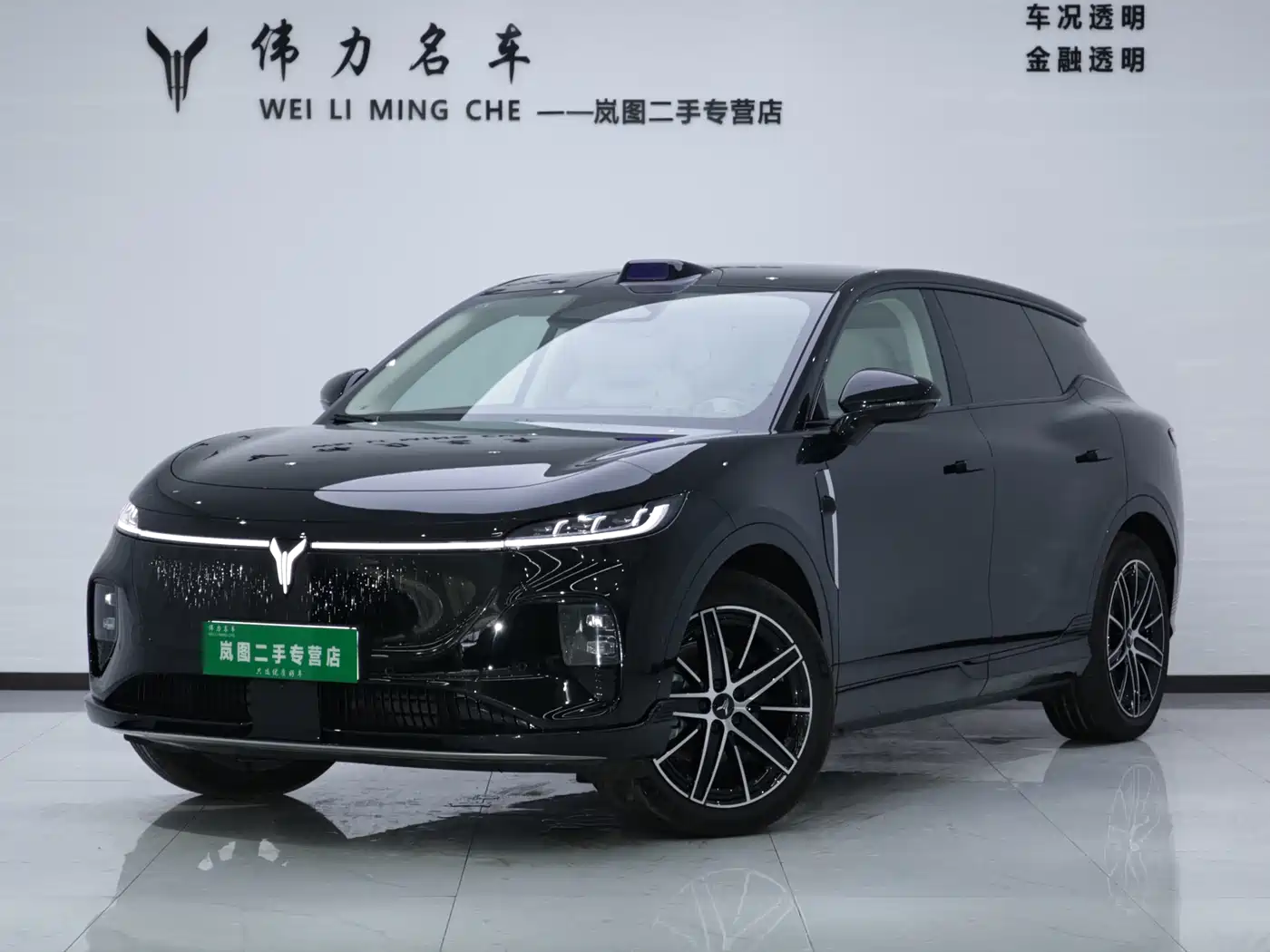 Voyah Auto Voyah Zhiyin 2025 Base