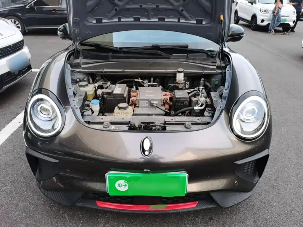 Ora Good Cat GT 2021 2022 Mulan Edition 480km Long Range