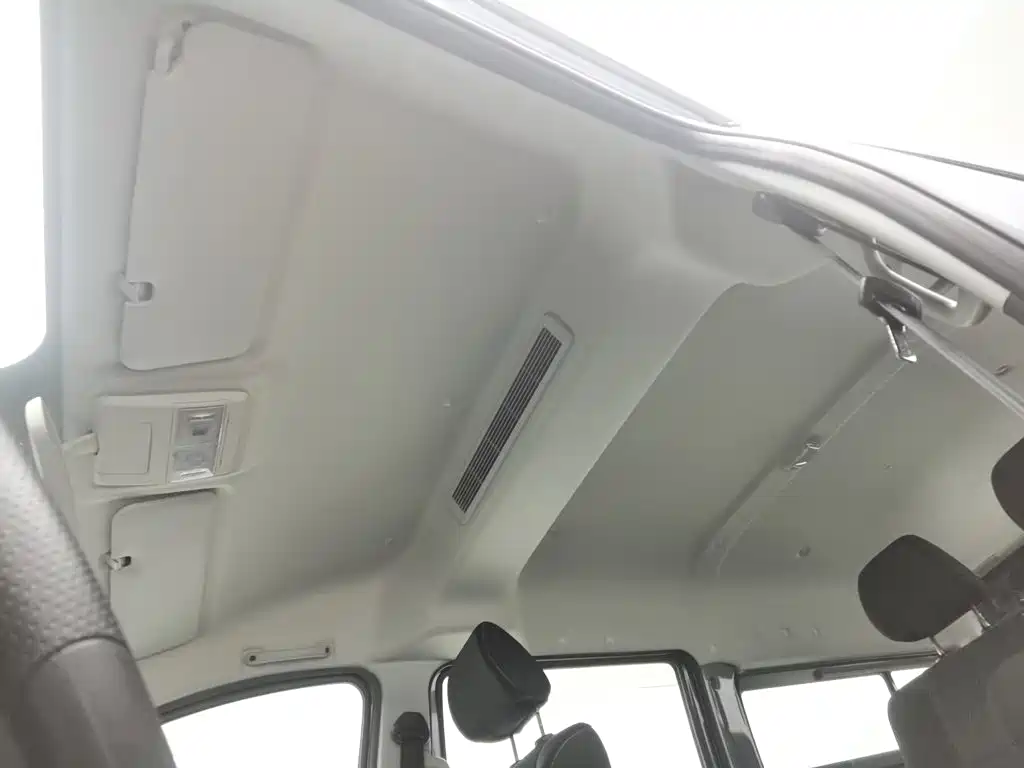 SRM Xinyuan Golden Sealion 2025 2024 2.0L Engineering Lion 9-seater
