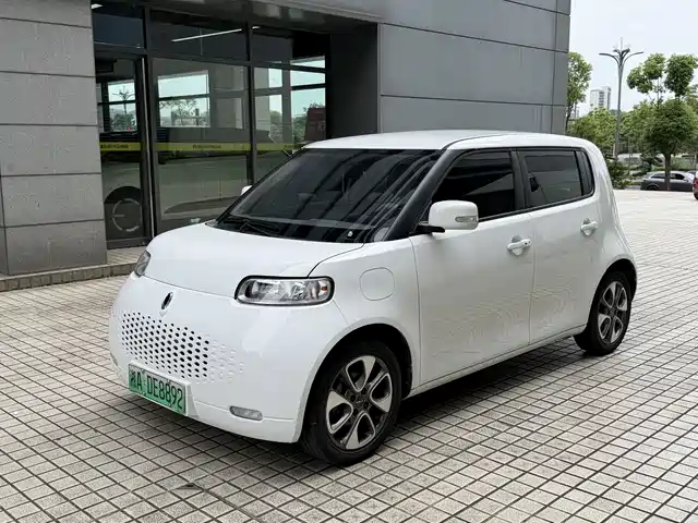 Ora White Cat 2020 305km Luxury