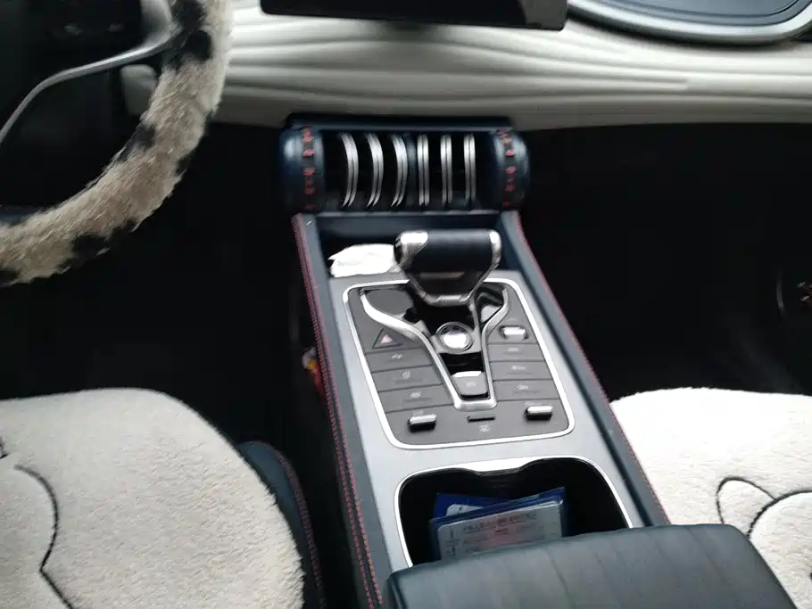 BYD Yuan PLUS 2022 2022 510KM Premium