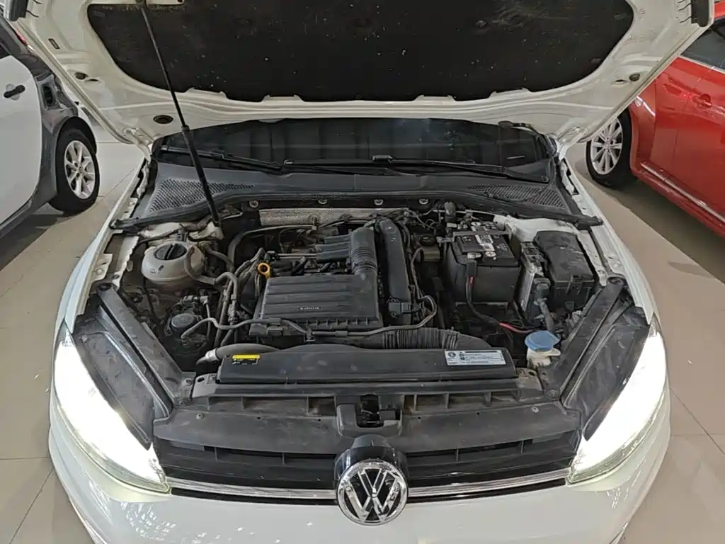 Фото 20 - Volkswagen Golf