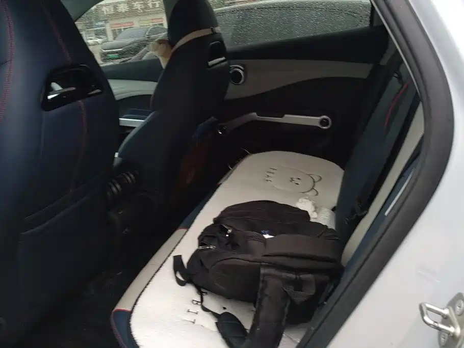 BYD Yuan PLUS 2022 2022 510KM Premium
