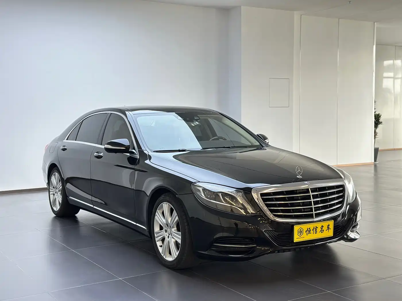 Mercedes-Benz S-Class 2014 S 400 L Luxury фото 3