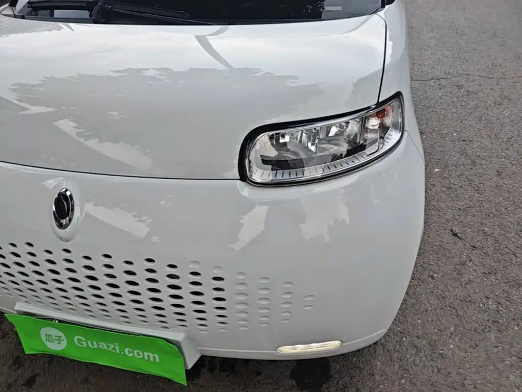 Ora White Cat 2021 2020 305km Luxury