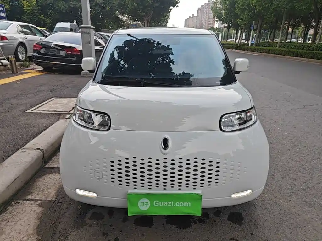 Ora White Cat 2021 2020 305km Luxury