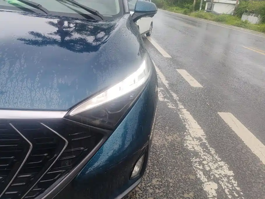 2021 Haima 7X