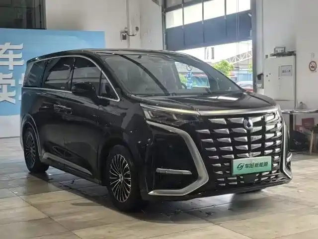 Denza D9 2024 DM-i 1050 Premium фото 3