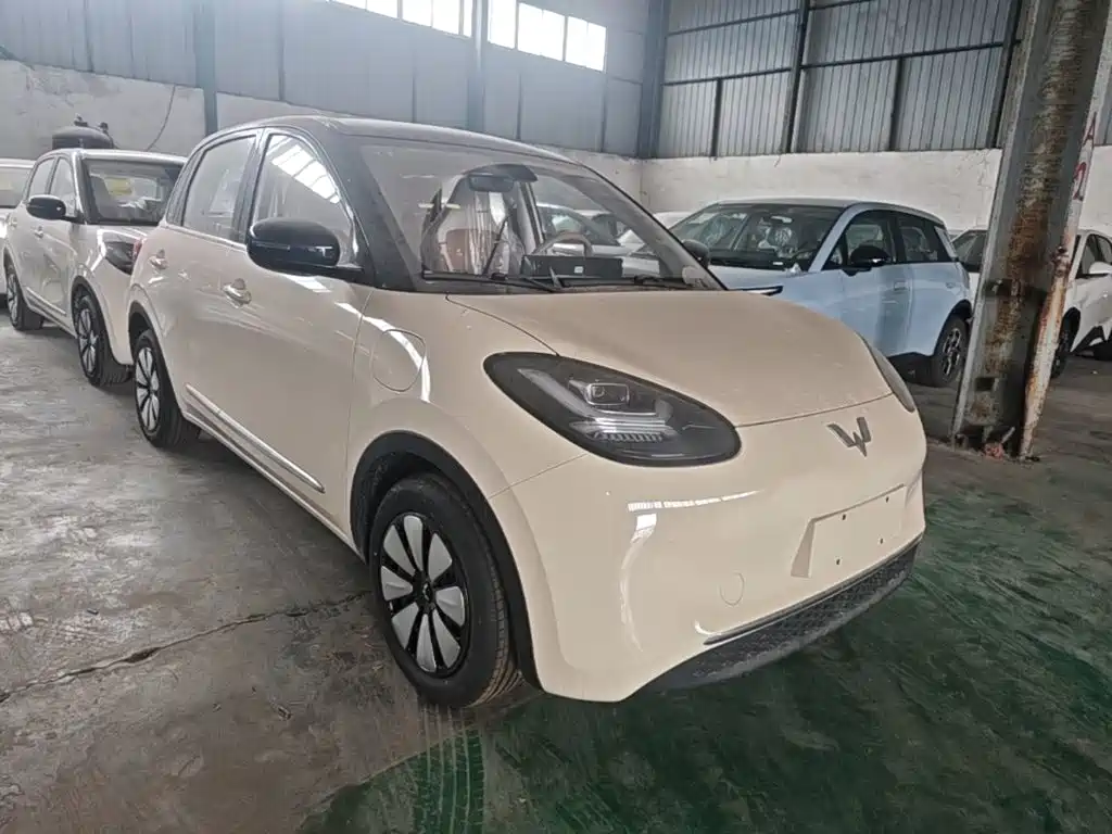 Wuling Motors Wuling Bingo 2026 2025 Model 333km Joy Edition