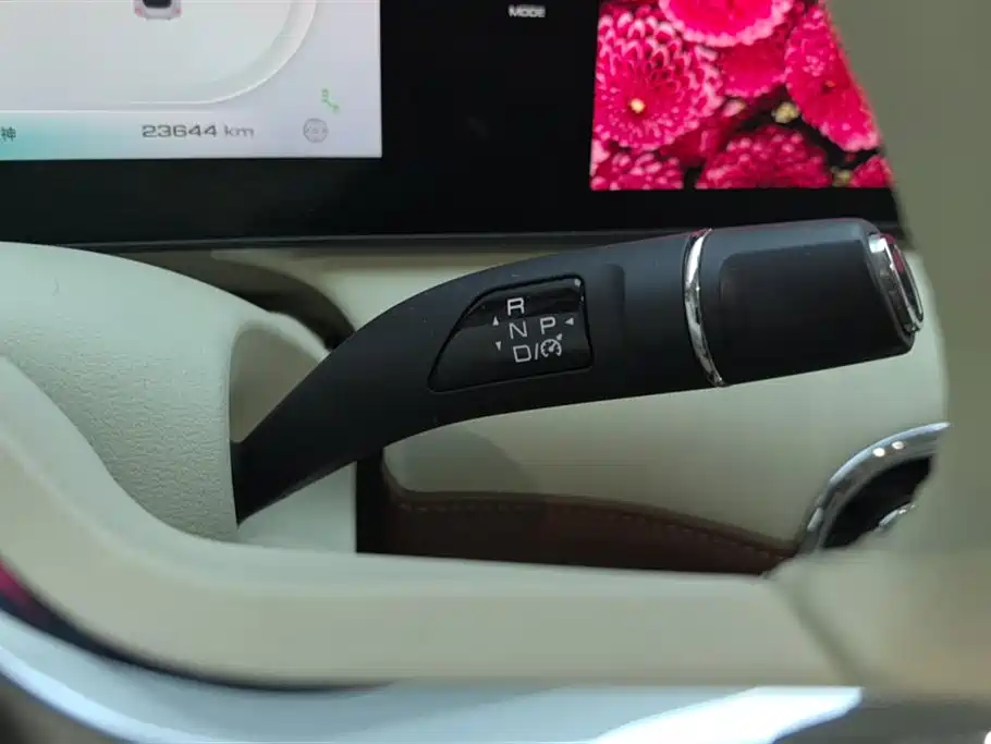 Ora Ballet Cat 2024 2023 401km Premium Model