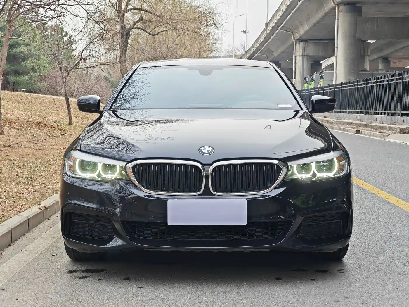 BMW 5 Series 2019 Facelift 530Li Leading M Sport Package фото 2
