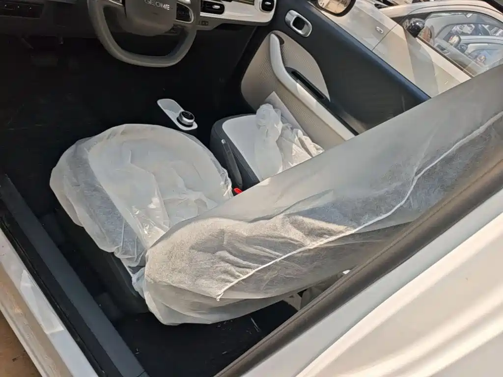 Geely Galaxy Panda 2026 2025 Panda mini 210km Vitality Bear
