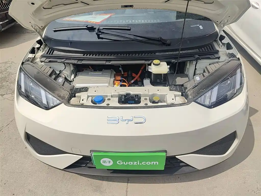 BYD Seagull 2025 Smart Drive Edition 305km Vitality Version фото 20
