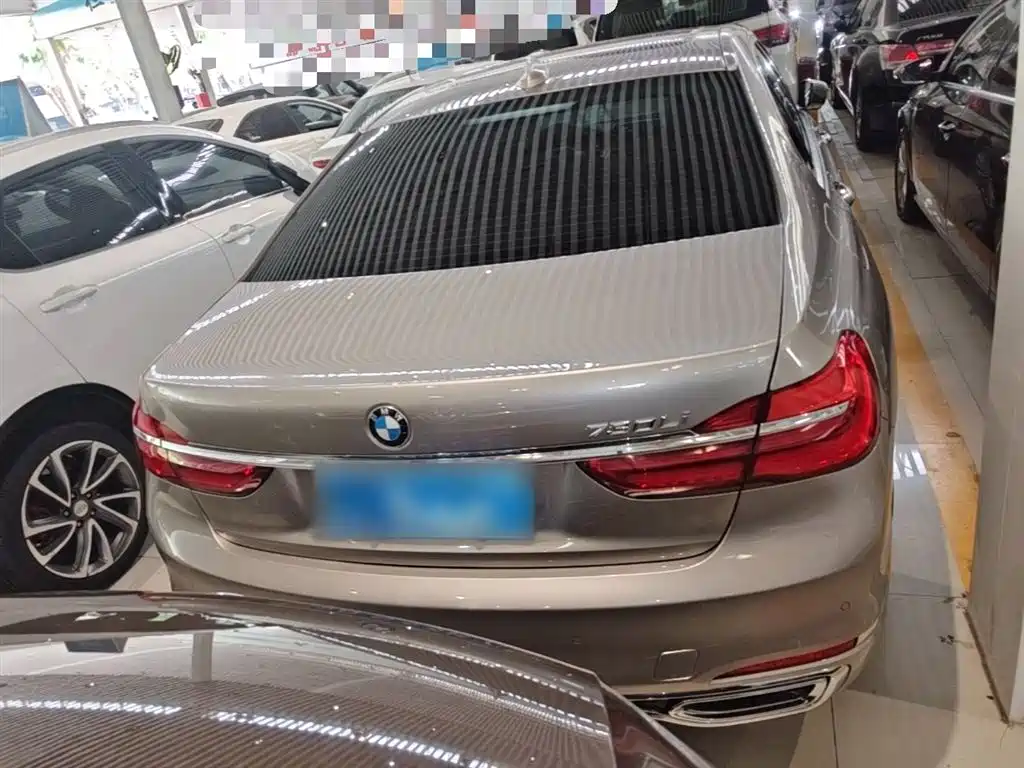 BMW 7 Series 2018 730Li Leading Type Excellence Package фото 6