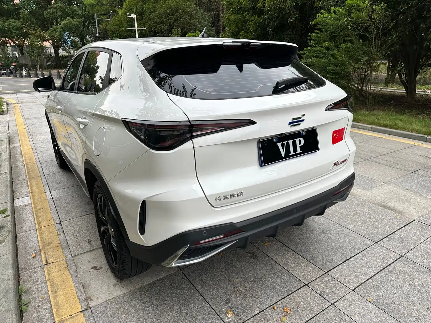 Changan Oshan X5 PLUS 2023 2023 1.5T DCT Pioneer