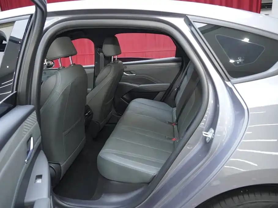 BYD Qin PLUS 2025 DM-i Smart Drive 55KM Leader фото 10