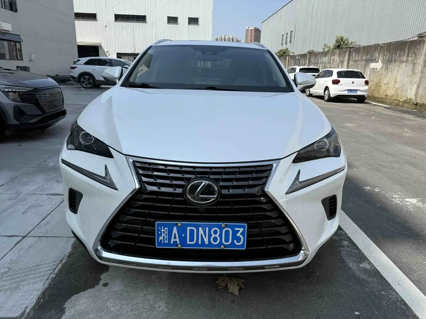 LEXUS NX