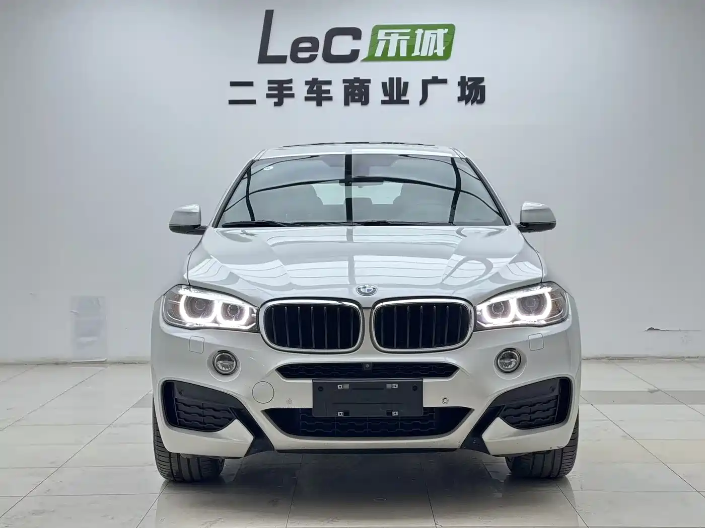 BMW X6 2018 xDrive35i Leading Model фото 2