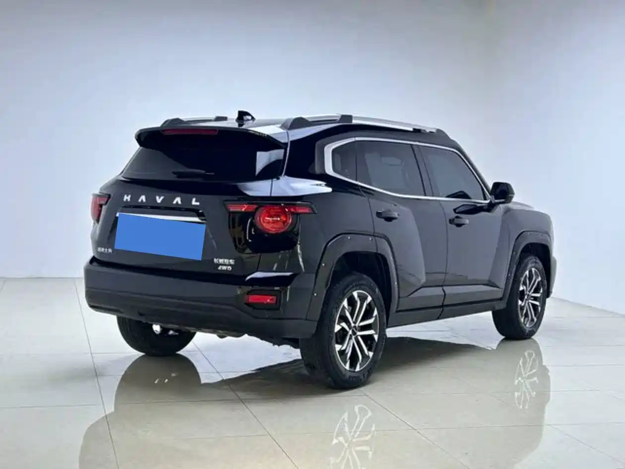Haval Big Dog 2024 2.0T DCT Chinese Rural Dog Edition фото 7