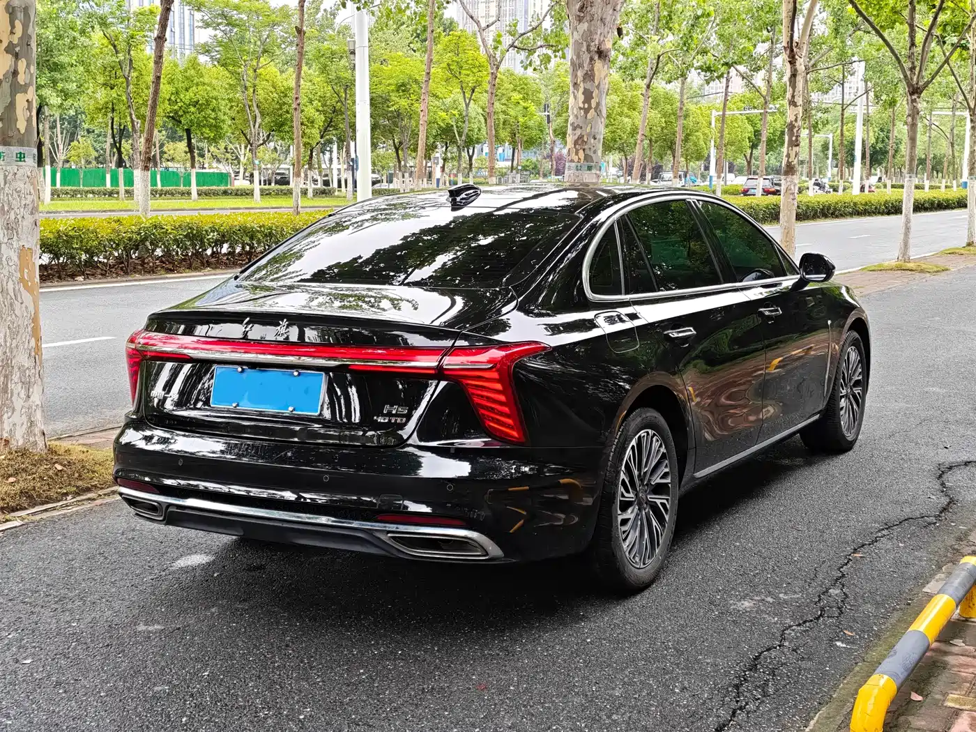 Hongqi H5 2025 2025 2.0T Automatic Flag Celebration 500,000 Units Anniversary Edition