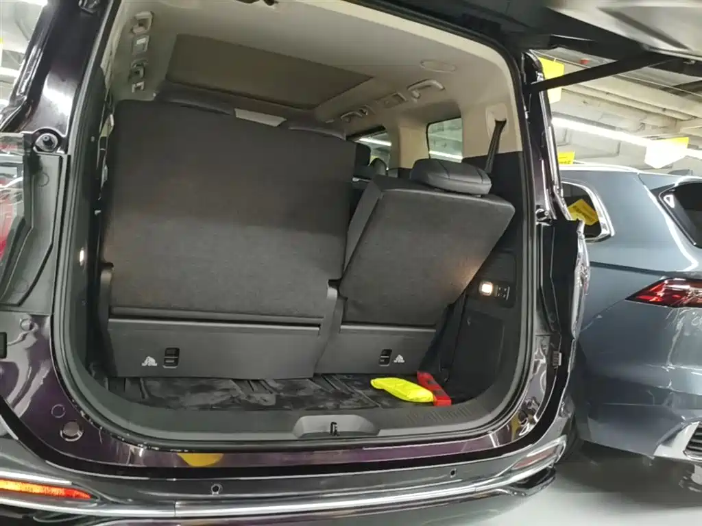 Hongqi HQ9 PHEV 2024 Model 2.0T AWD Luxury Edition фото 19
