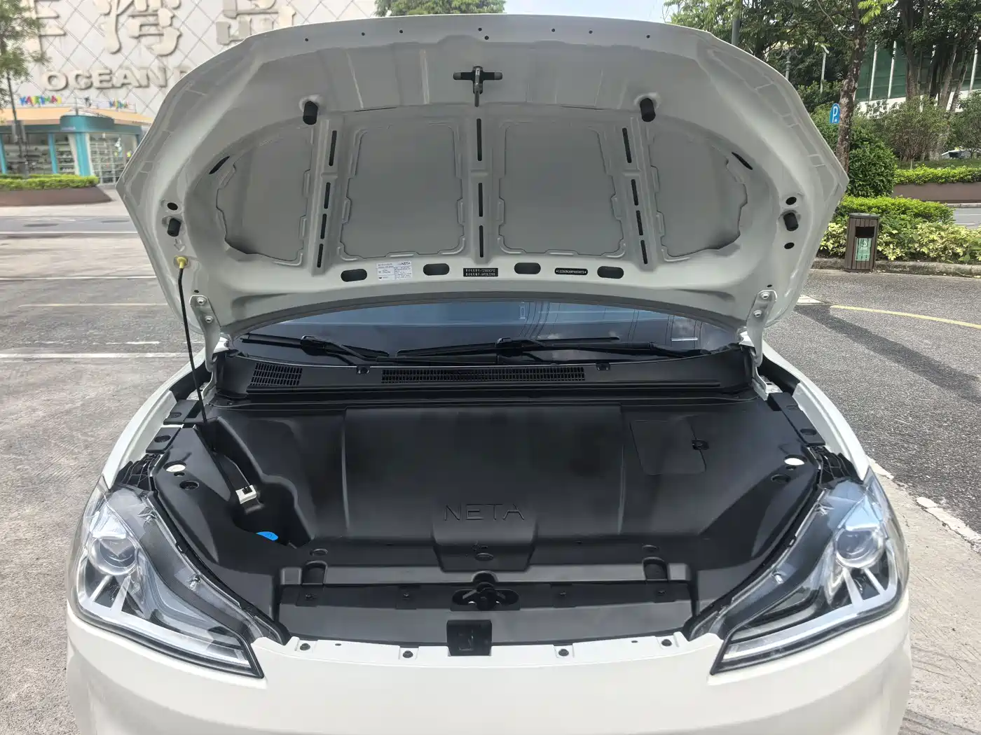 Nezha Auto Nezha V 2023 2022 Trend 400 Lite