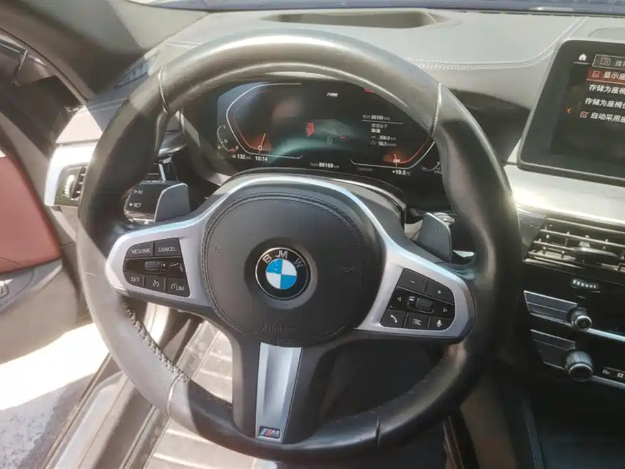 BMW 5 Series 2021 530Li Premium M Sport Package фото 15