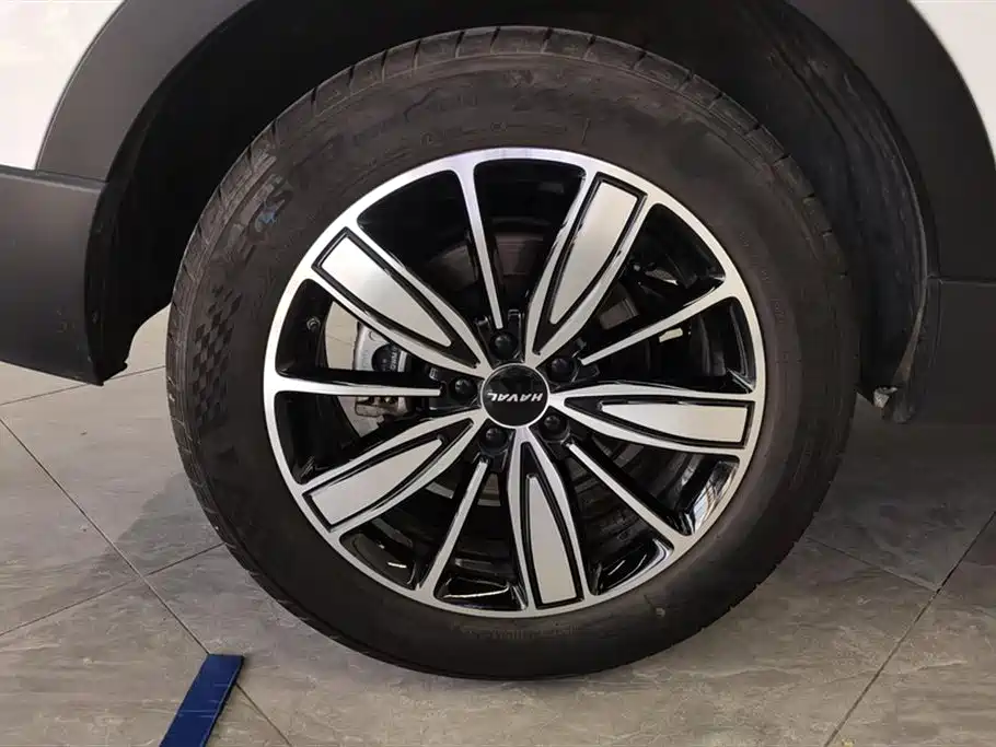 Haval H6 2023 National Trend Edition 1.5T Automatic Champion фото 6