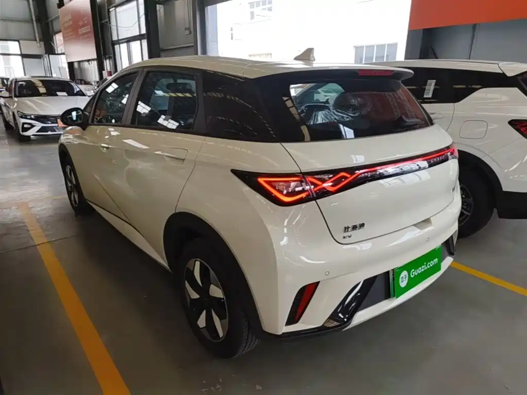 BYD Dolphin 2026 2025 420km Freedom Edition