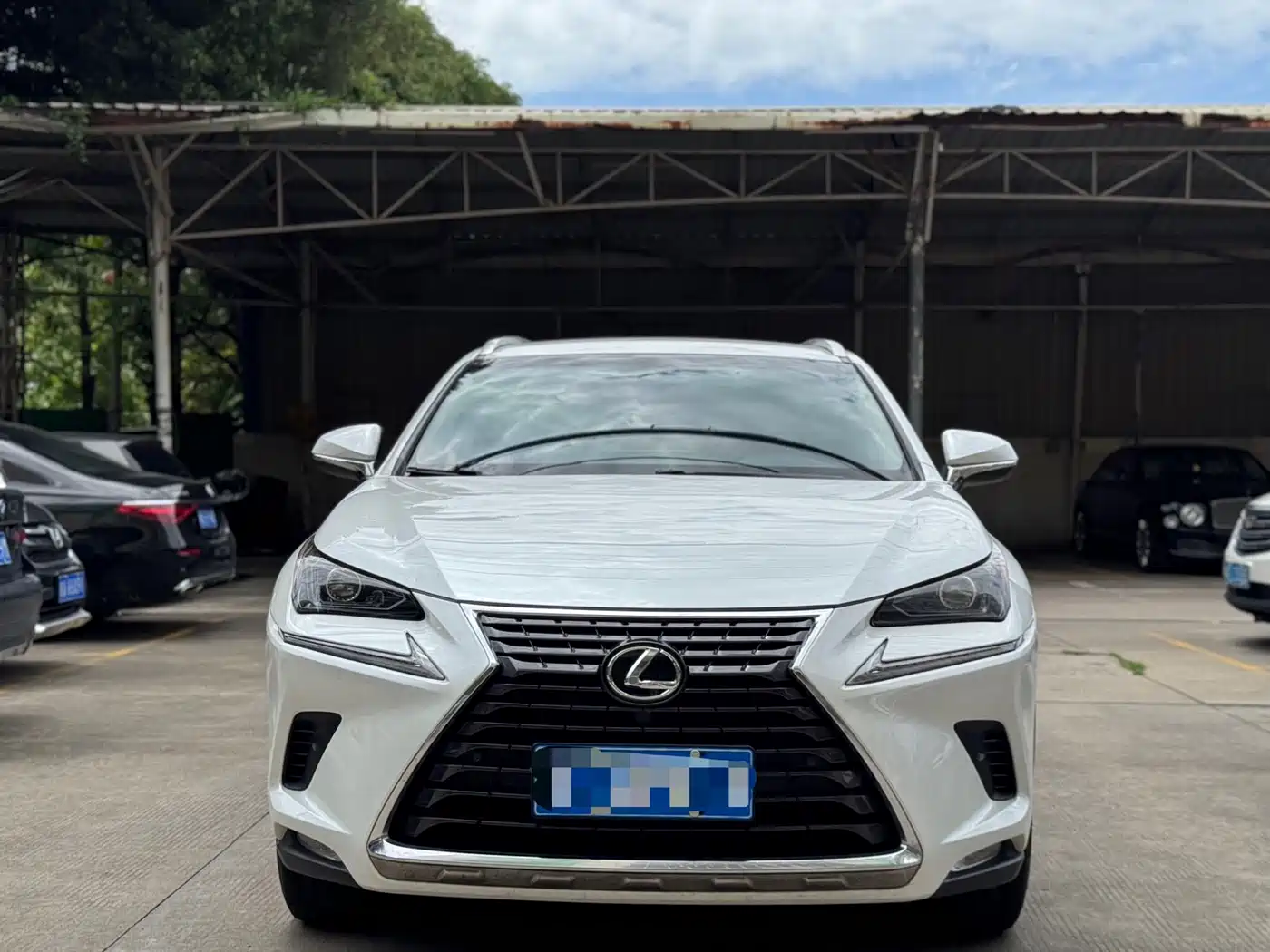 Lexus NX 2018 Model 300 FWD Fengxing Edition фото 2
