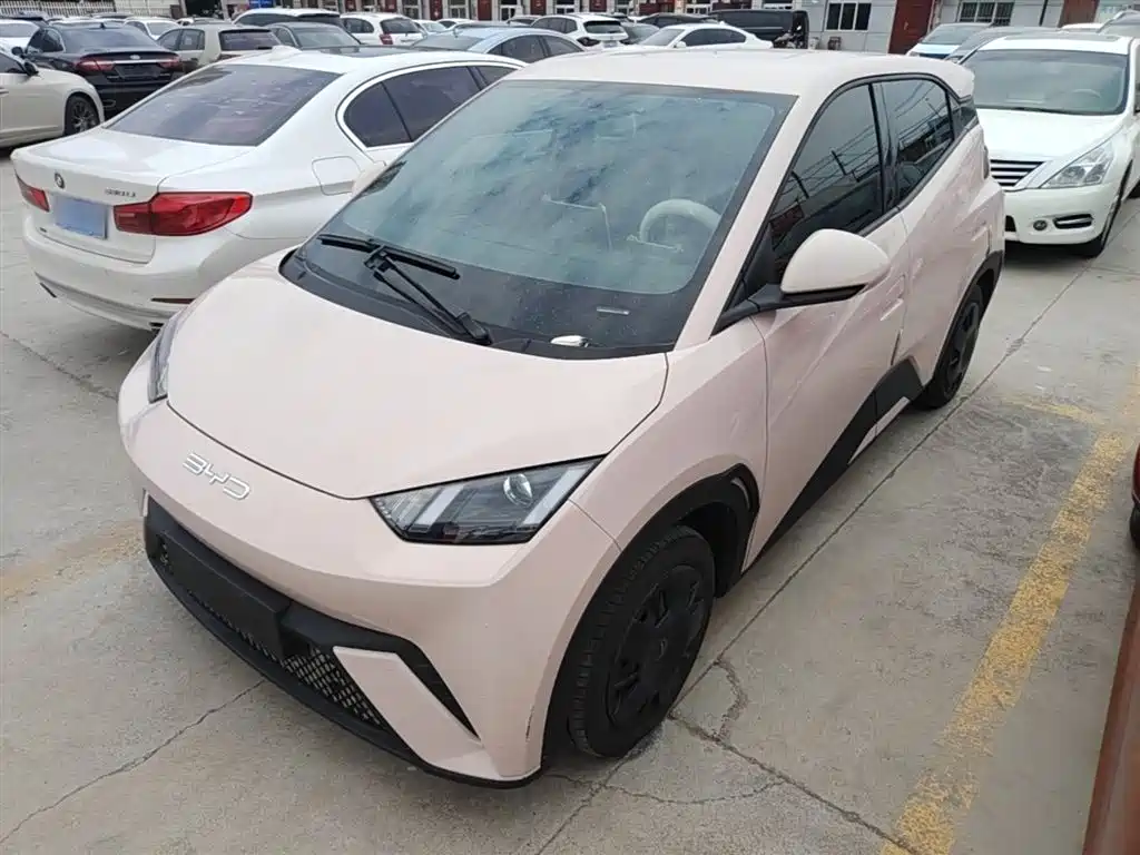 BYD Seagull 2023 Vitality Edition