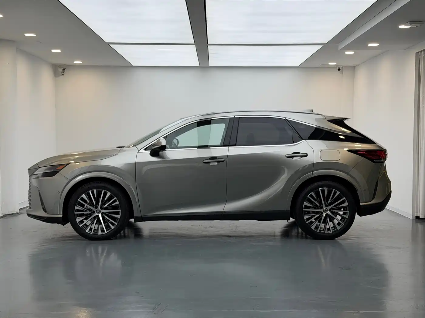 Lexus RX New Energy 2023 450h+ 4WD Enjoyment фото 9