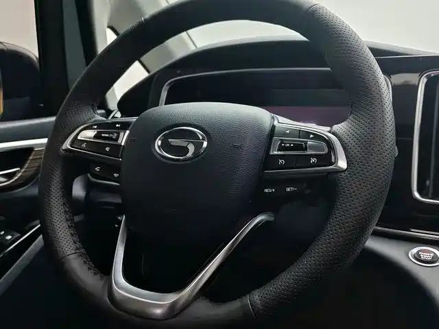 GAC Trumpchi Trumpchi M8 2021 Leading Show Series 390T Ultimate Edition фото 15