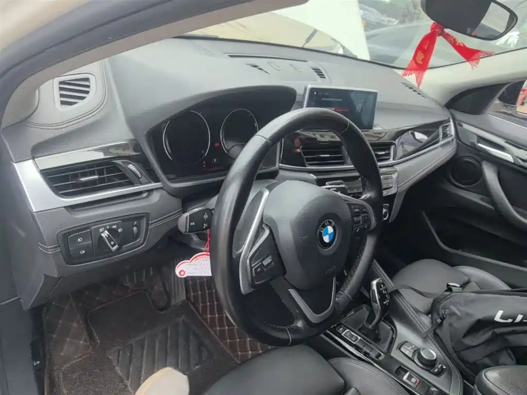 BMW X2 (Import) 2019 sDrive20i M Off-Road Package China VI фото 10
