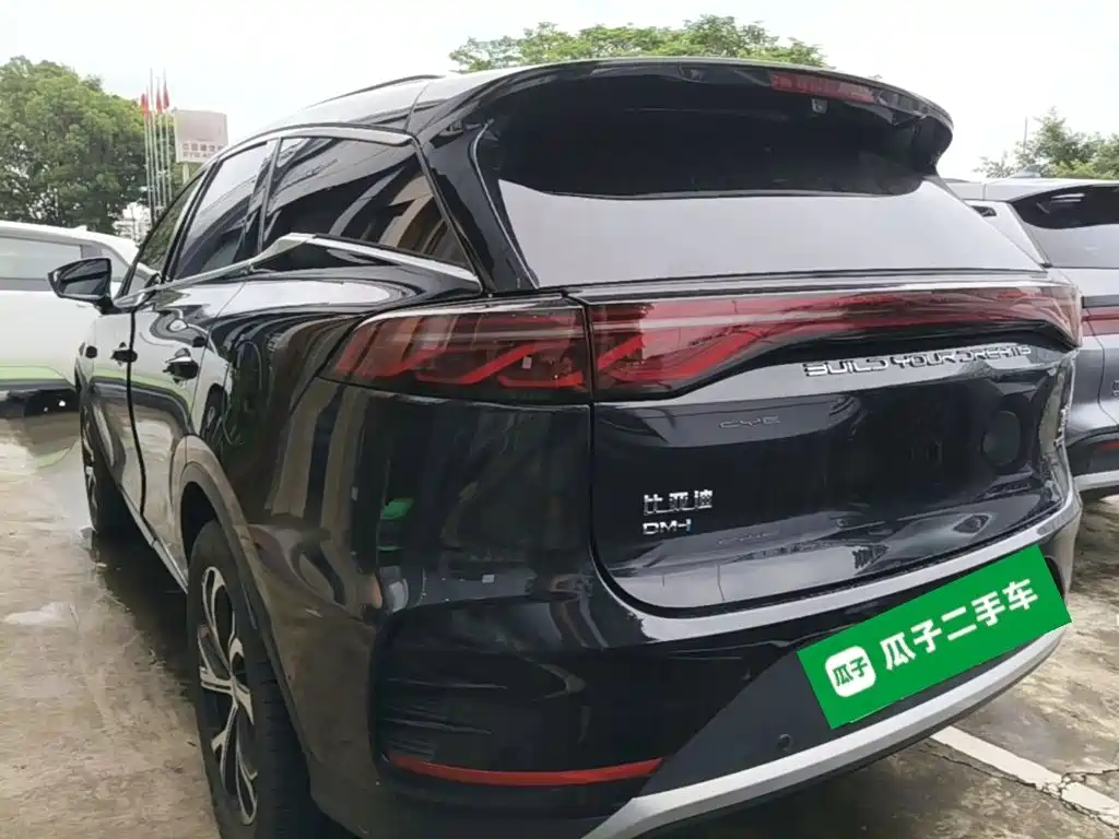 BYD Tang New Energy 2025 2025 Smart Driving Edition DM-i 115KM Flagship