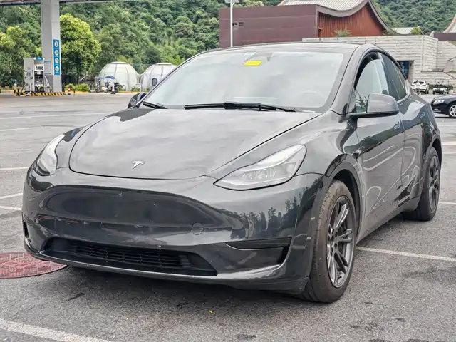 Tesla Model Y Задний привод