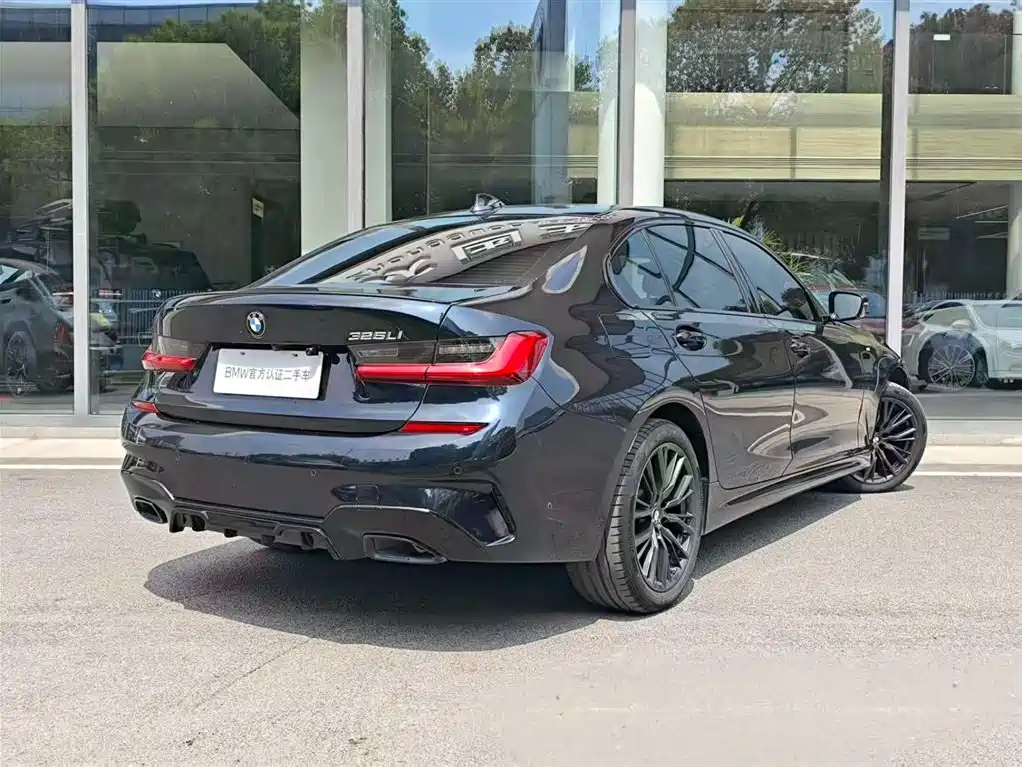 BMW 3 Series 2020 325Li M Sport Black Night Package фото 5