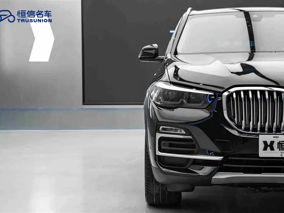 BMW X5 (Import) 2020 xDrive30i X Design Package фото 8