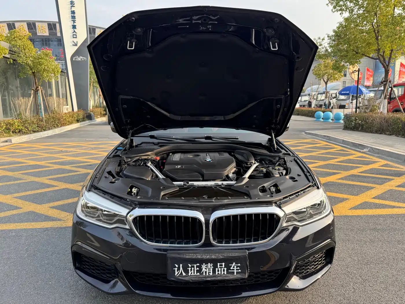BMW 5 Series 2020 530Li Leading M Sport Package фото 35