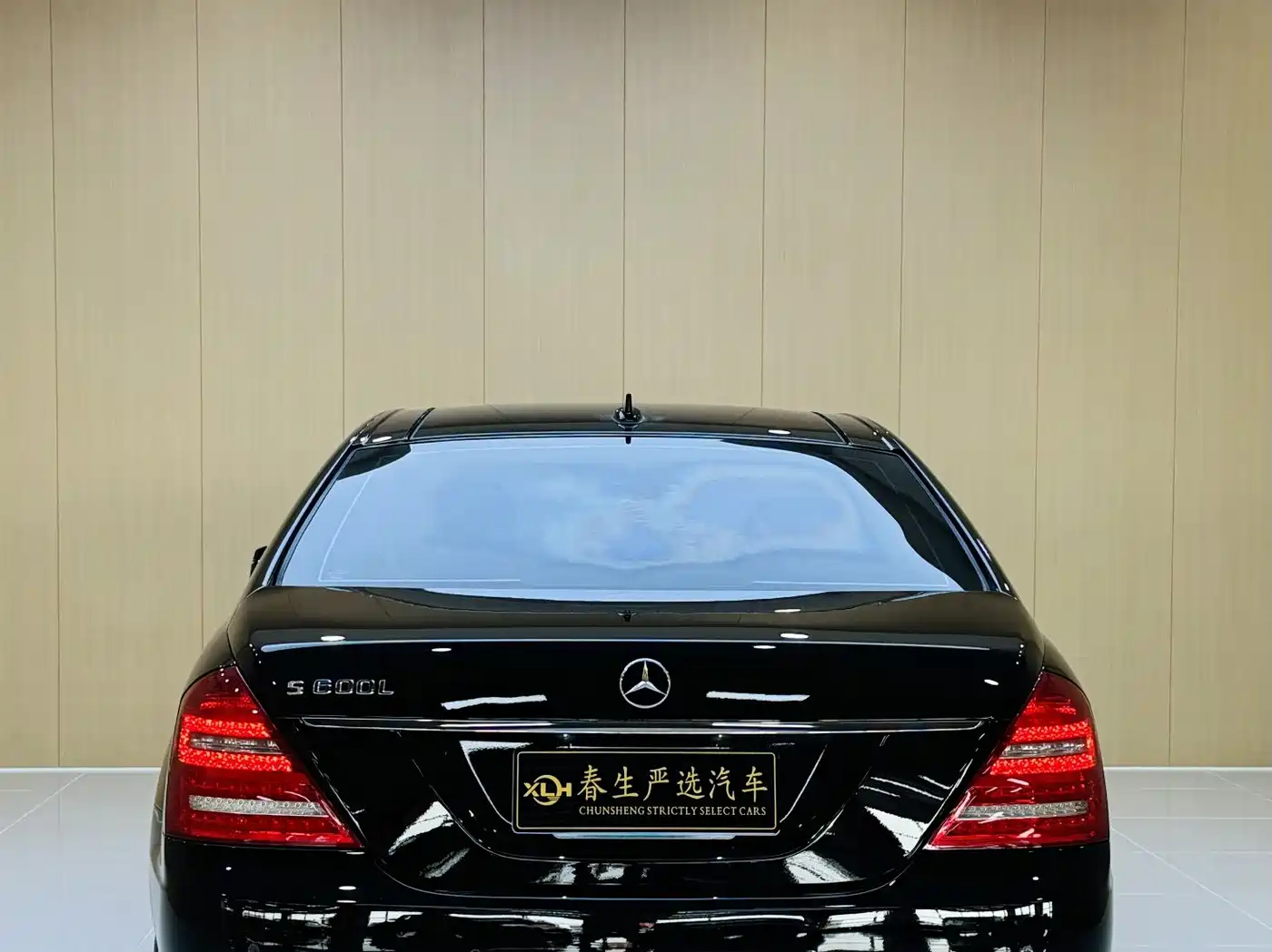 Mercedes-Benz S-Class 2010 S 600 L фото 18